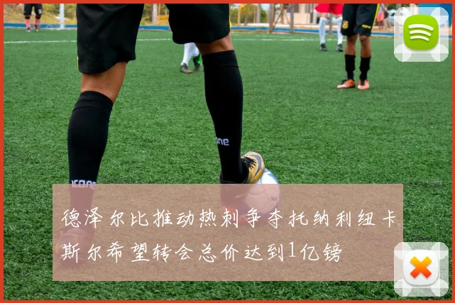 德泽尔比推动热刺争夺托纳利纽卡斯尔希望转会总价达到1亿镑