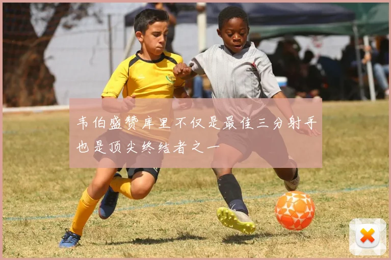 韦伯盛赞库里不仅是最佳三分射手也是顶尖终结者之一